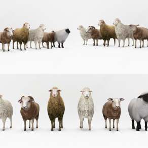 现代白羊3D模型下载